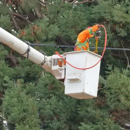 electrical-industry2